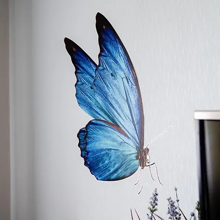 W Lesie Apartament *