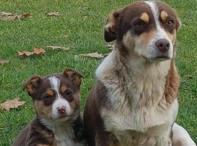 דירה W Lesie Z Balia *